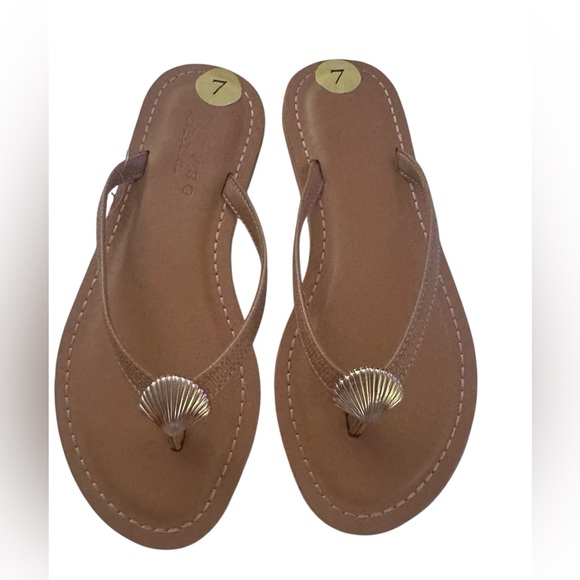 Calypso St.Barth Women's Tan Sandals with Shell Detail - Picture 3 of 5